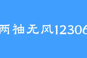 两袖无风12306