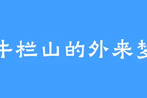 牛栏山的外来梦