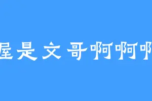 哇喔是文哥啊啊啊啊