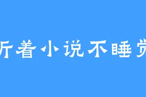 听着小说不睡觉