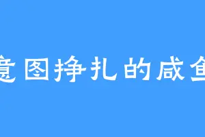 意图挣扎的咸鱼