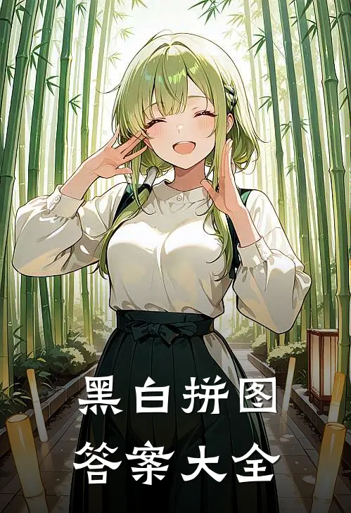 黑白拼图答案大全