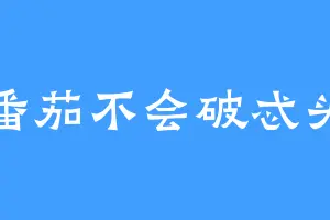 番茄不会破忒头