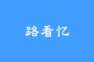 路看忆