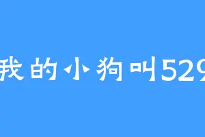我的小狗叫529