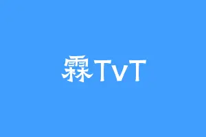 霖TvT