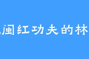 爱吃闽红功夫的林阳神