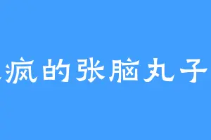 发疯的张脑丸子头