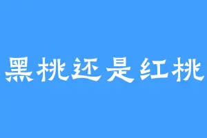 黑桃还是红桃