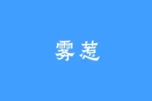 雾惹