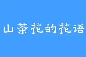 山茶花的花语