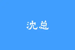 沈总