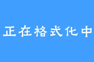 正在格式化中