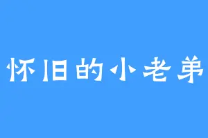 怀旧的小老弟