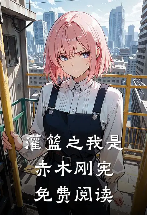 灌篮之我是赤木刚宪免费阅读