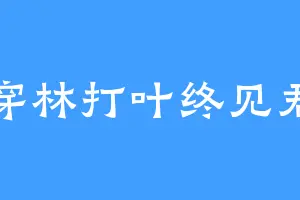 穿林打叶终见君