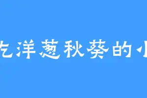 爱吃洋葱秋葵的小浅