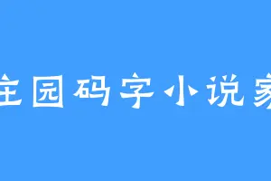 庄园码字小说家