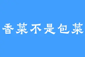 香菜不是包菜