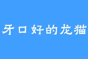 牙口好的龙猫