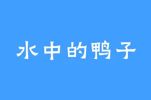 水中的鸭子