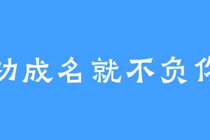 功成名就不负你