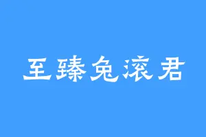 至臻兔滚君