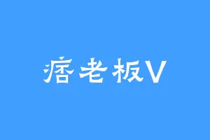痞老板V