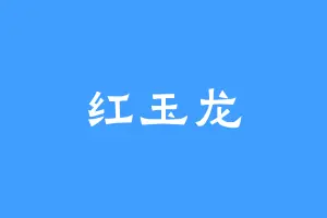 红玉龙