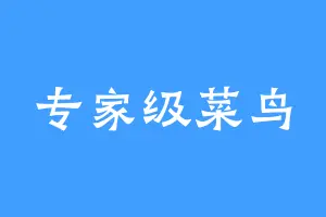 专家级菜鸟