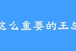 这么重要的王总
