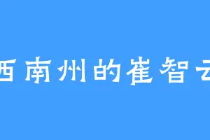 西南州的崔智云