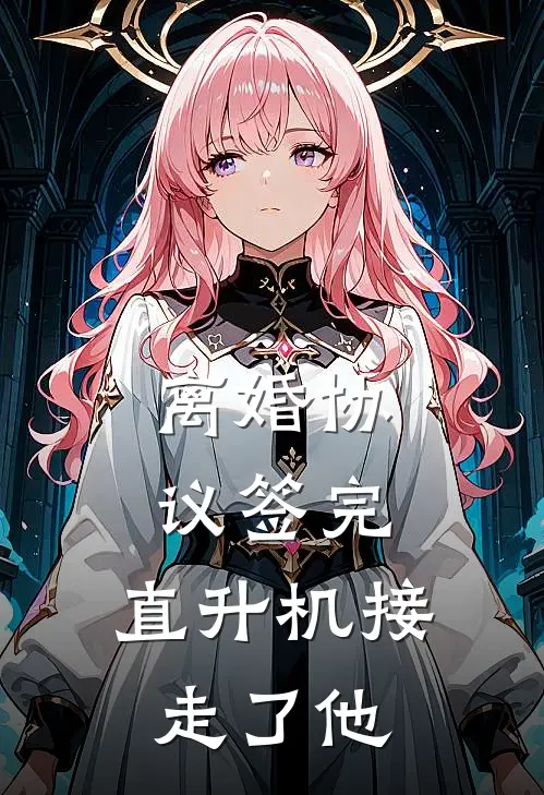 离婚协议签完，直升机接走了他