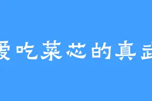 爱吃菜芯的真武