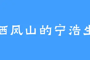栖凤山的宁浩生