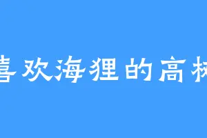 喜欢海狸的高树
