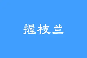 握枝兰