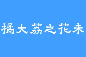 大橘大荔之花未眠