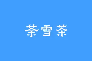 荼雪茶