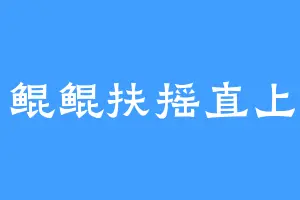 鲲鲲扶摇直上