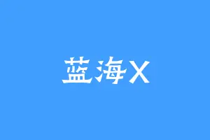 蓝海X