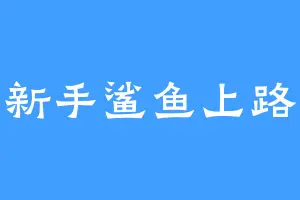 新手鲨鱼上路