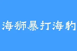 海狮暴打海豹