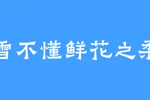 风雪不懂鲜花之柔情