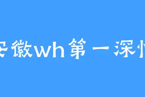 安徽wh第一深情