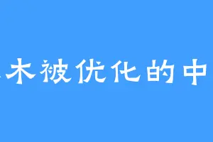 干土木被优化的中专生
