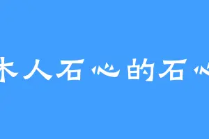 木人石心的石心