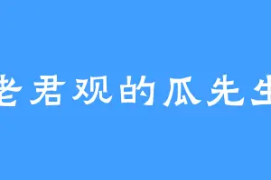 老君观的瓜先生