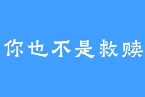 你也不是救赎