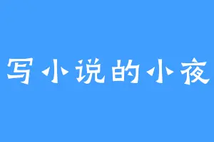 爱写小说的小夜猫